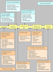 historia_natural_asma4