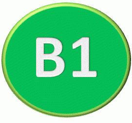 LOGOSB1