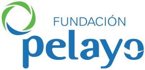fundacion-pelayo2