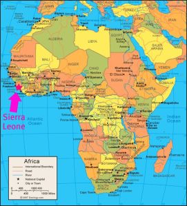 6a00d8341c469c53ef0120a7ff33ba970b-640wi