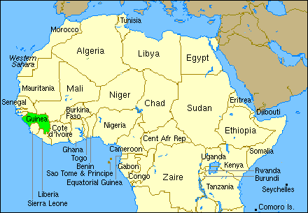 guinea-1