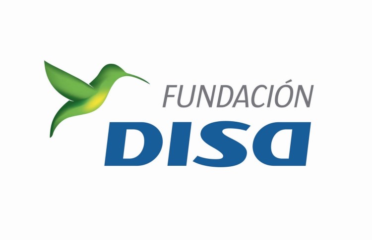 www.disagrupo.es