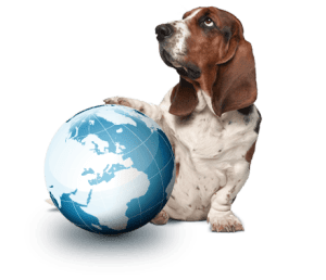 premios-solidarios-rastreator