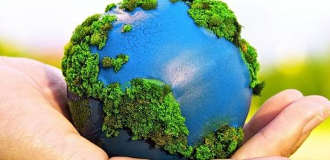 Educación-medioambiental-1024x500_c